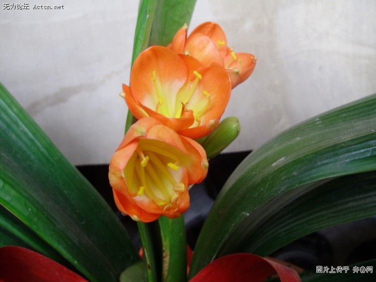 20090302_2b2dc9f656f429617dc9ArFI0T9vZuEQ.jpg