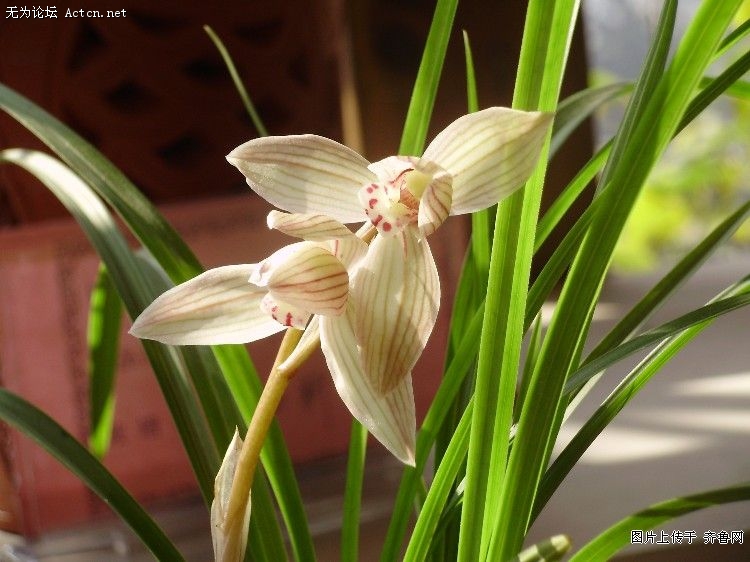20090302_38f2db9f663a2c9b7325EPSlnwekoVmr.jpg