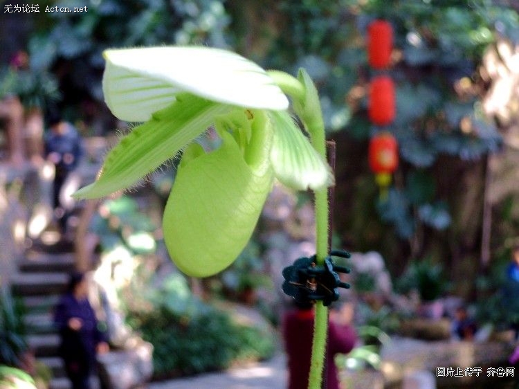 20090302_63599404b90b1d67fd12SCixpPqTU3Lh.jpg