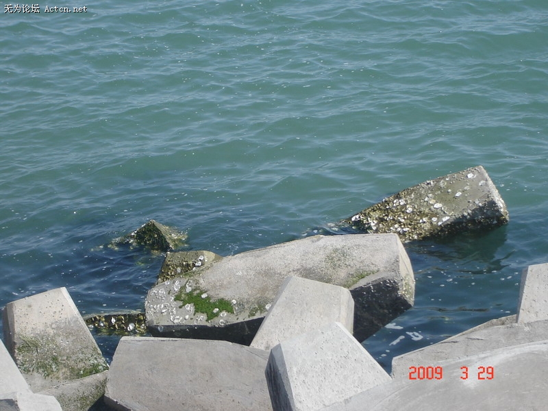 DSC02350.JPG