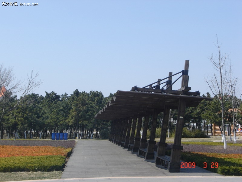 DSC02385.JPG