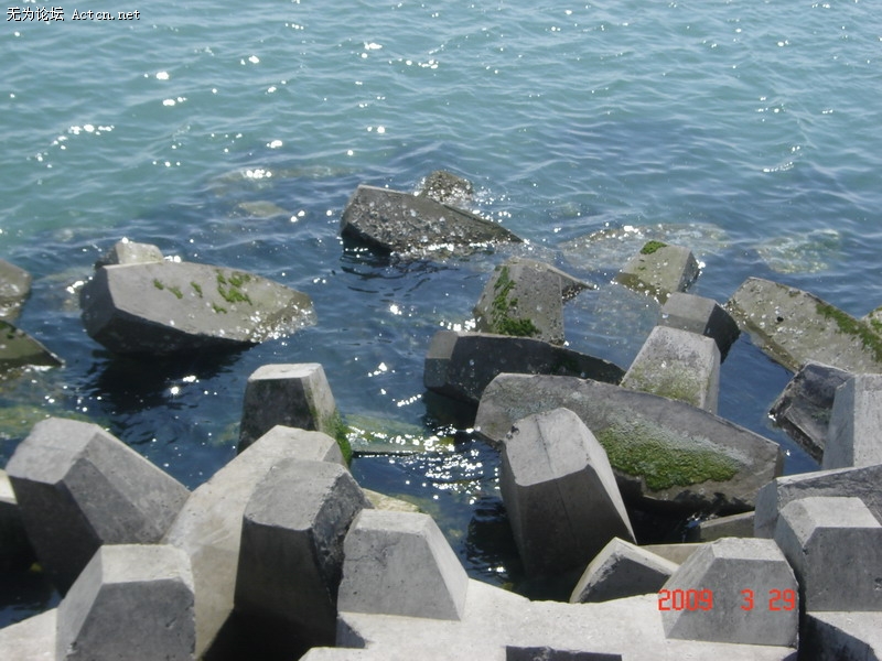 DSC02361.JPG