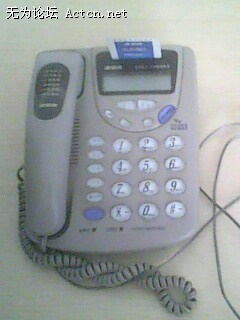 IMG0203A.jpg