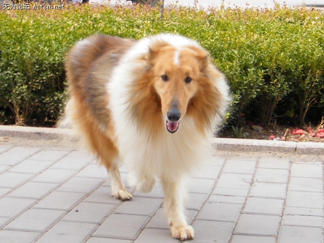 DSCF1161.JPG
