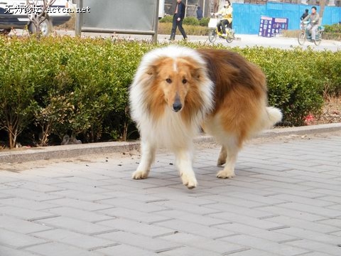 DSCF1156.JPG