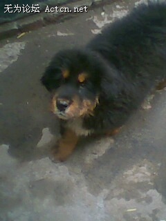 IMG0058A.jpg