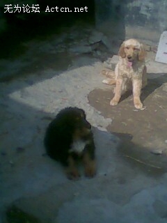 IMG0063A.jpg