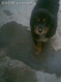 IMG0057B.jpg