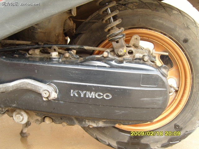 S1031551.JPG