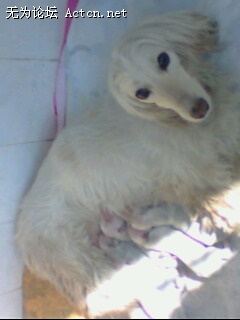 IMG0074A.jpg