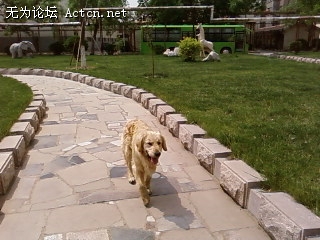У
