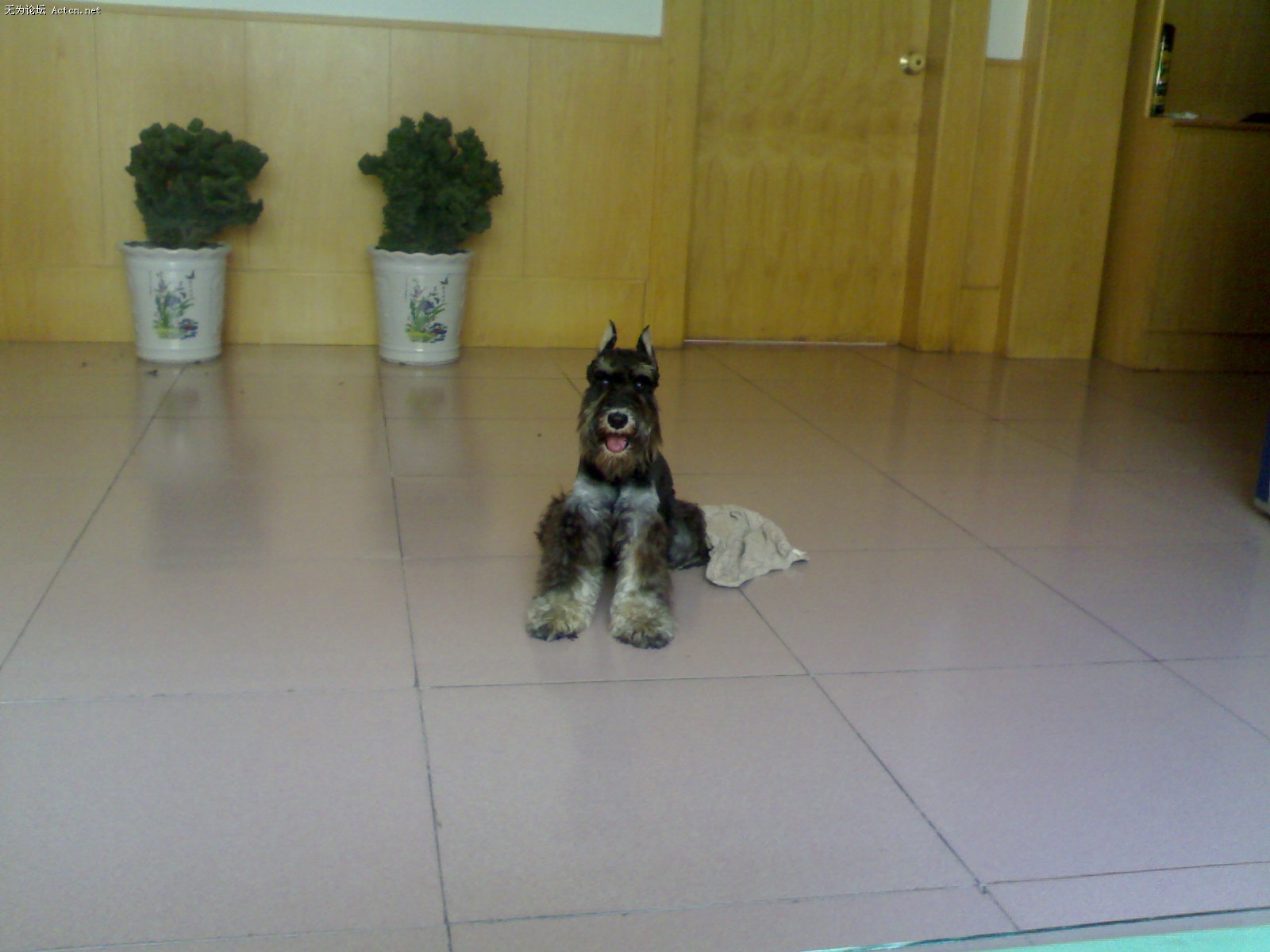 20080703222.jpg