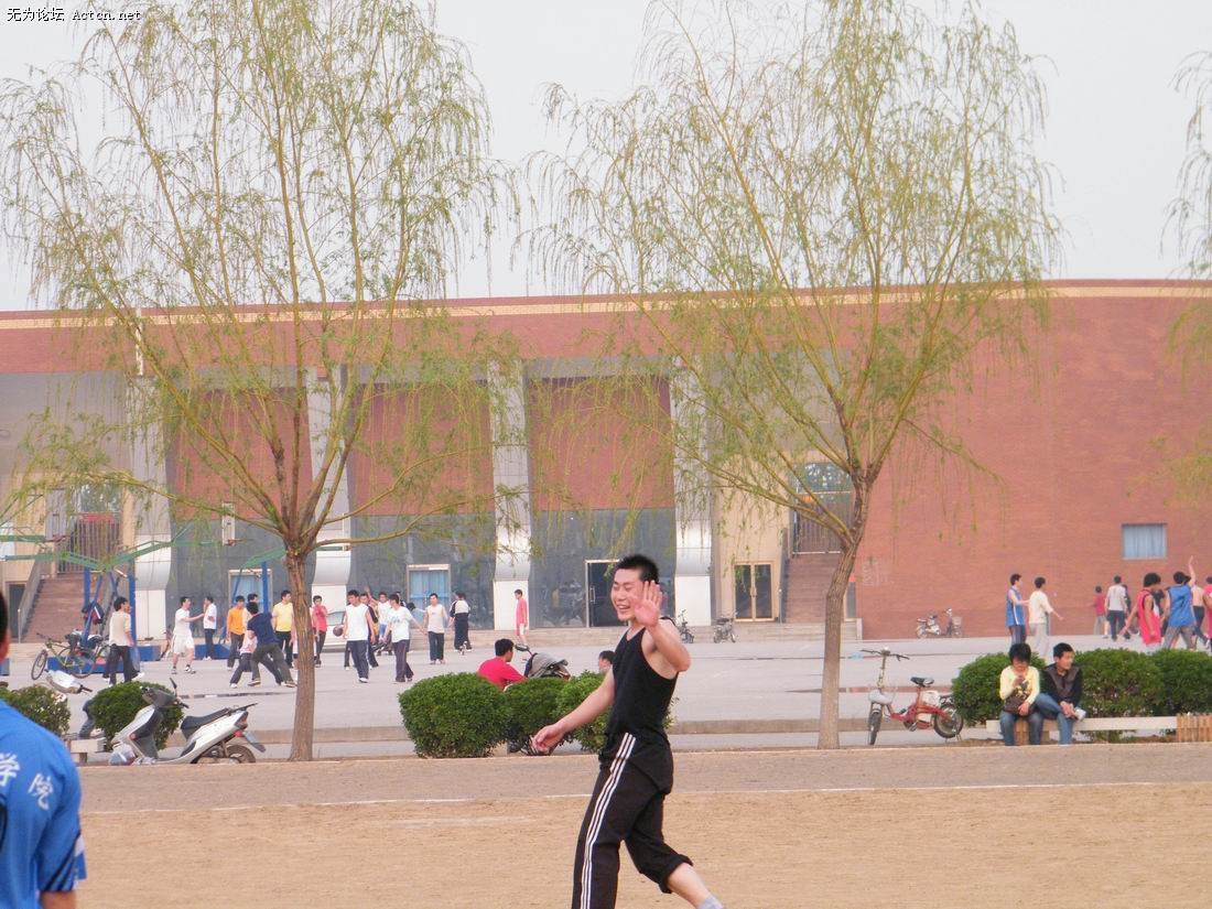 С Ƭ 217.jpg