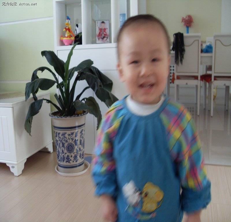 SDC11117_1.jpg