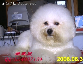 39d2fea2007cc9da4c4f0fb56bbff653[2].jpg