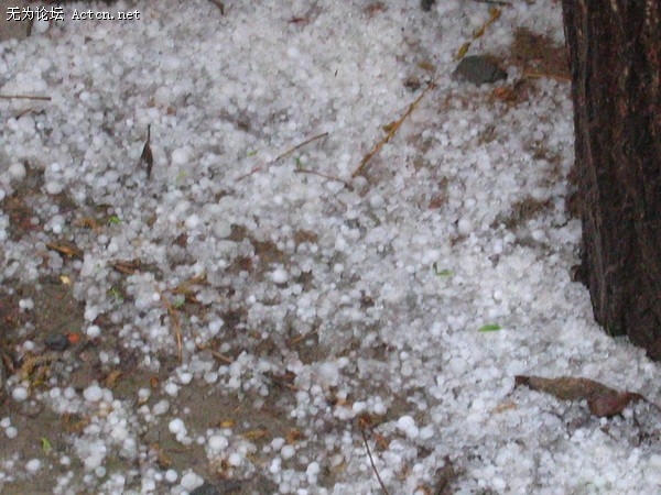Ƭ 040.jpg