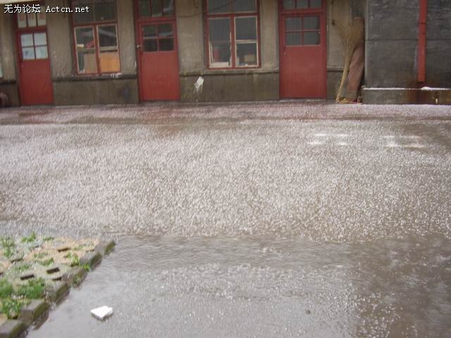 STA42551.jpg