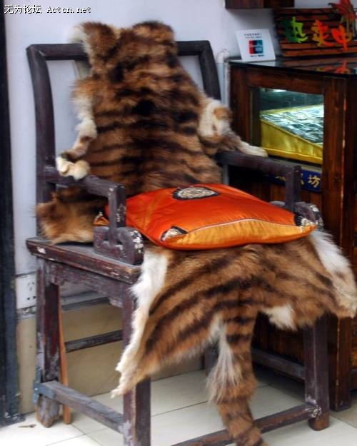 06.jpg