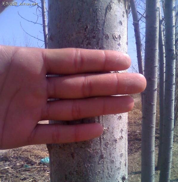 Сһ.jpg