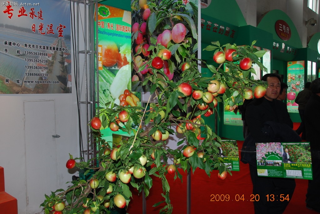 20090420 025.jpg