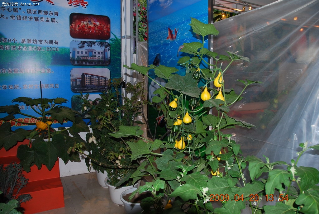 20090420 024.jpg