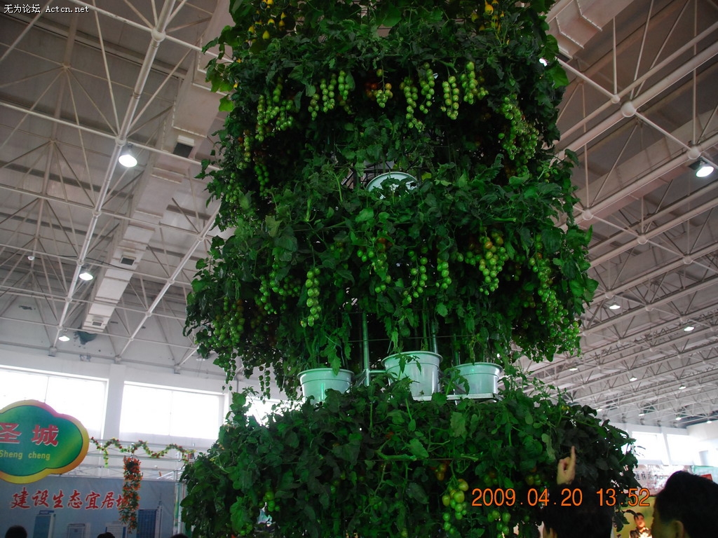 20090420 017.jpg