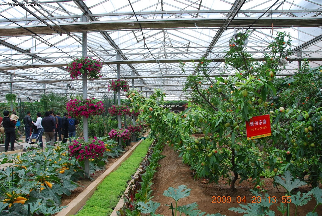 20090420 032.jpg
