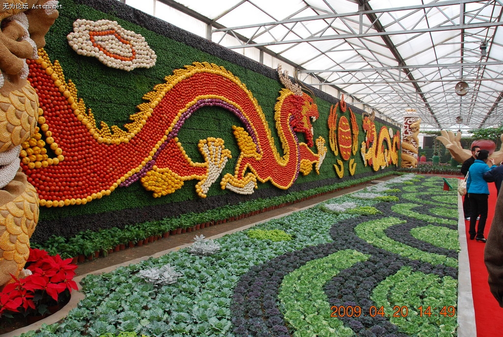 20090420 193.jpg