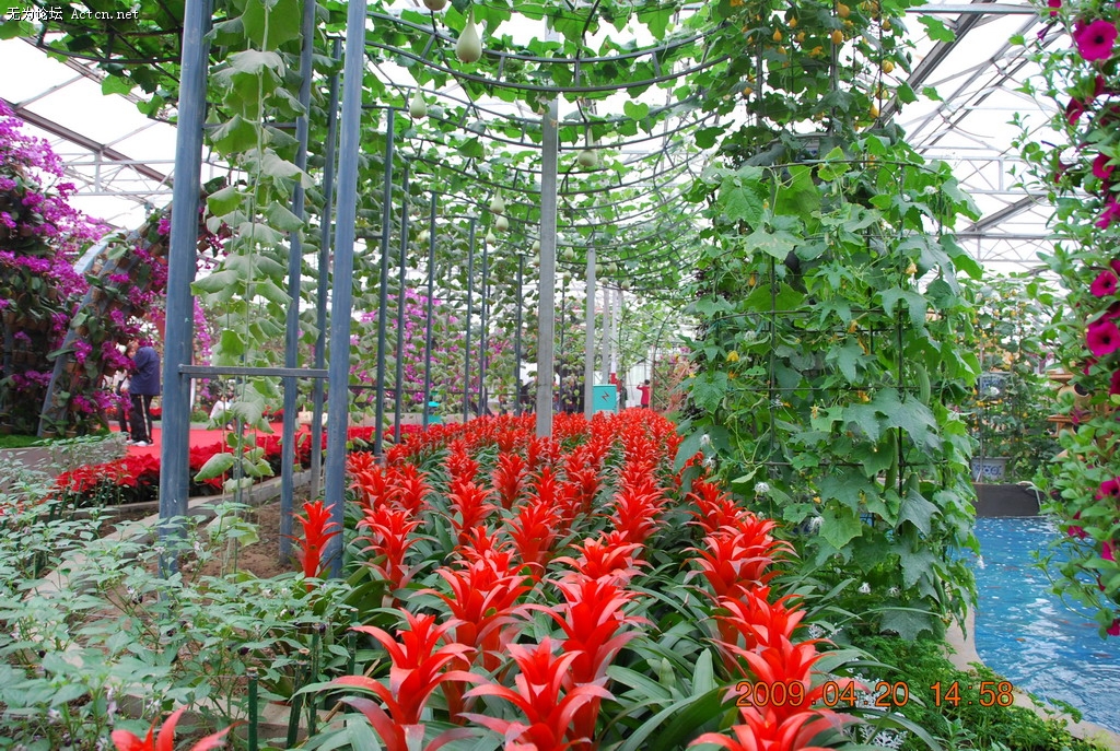 20090420 239.jpg