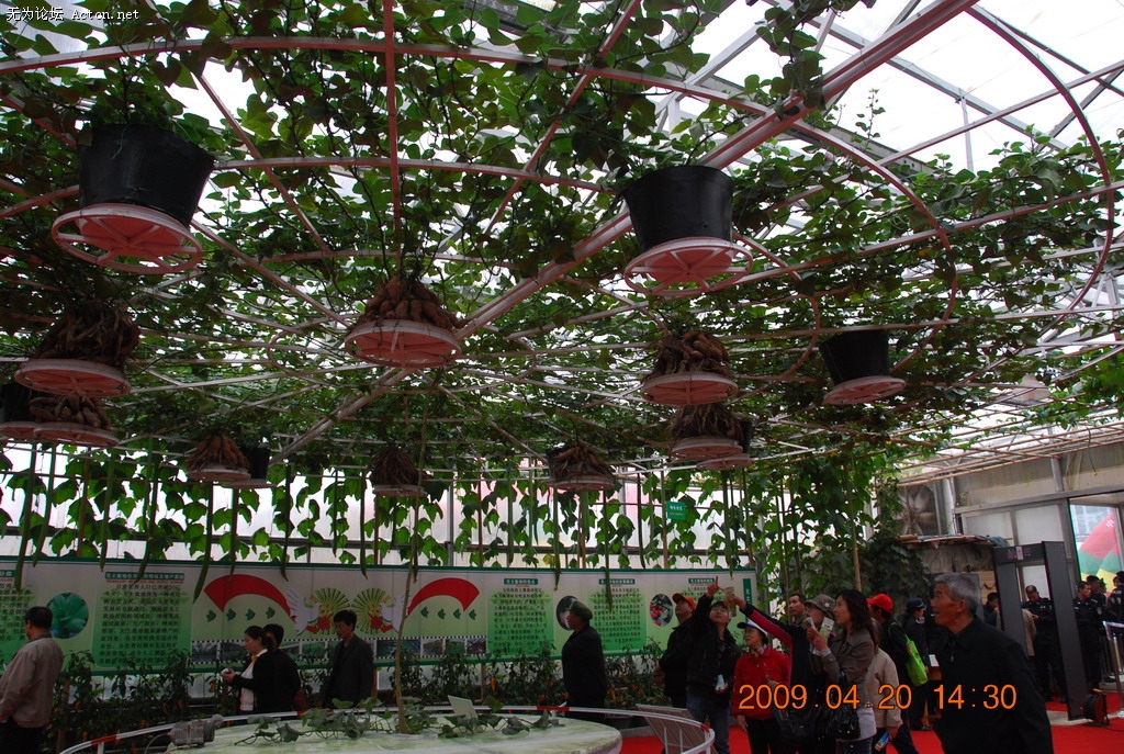 20090420 141.jpg