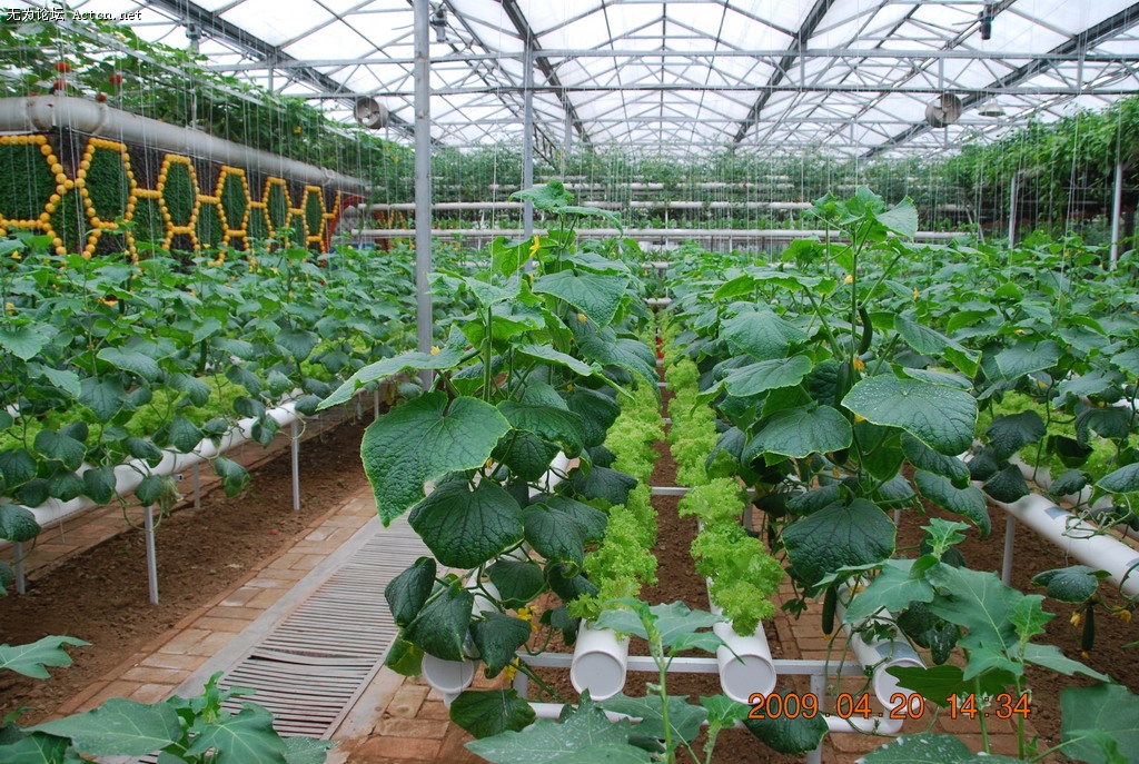 20090420 154.jpg