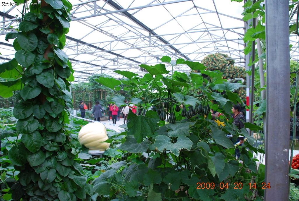 20090420 124.jpg