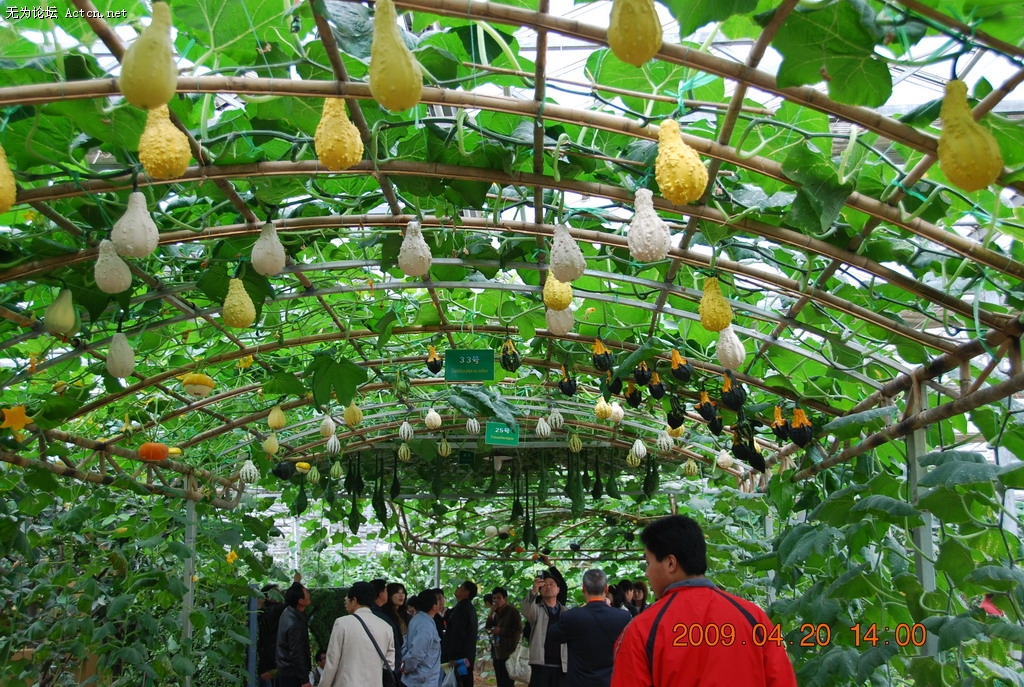 20090420 056.jpg