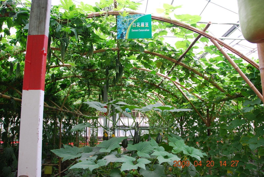 20090420 136.jpg
