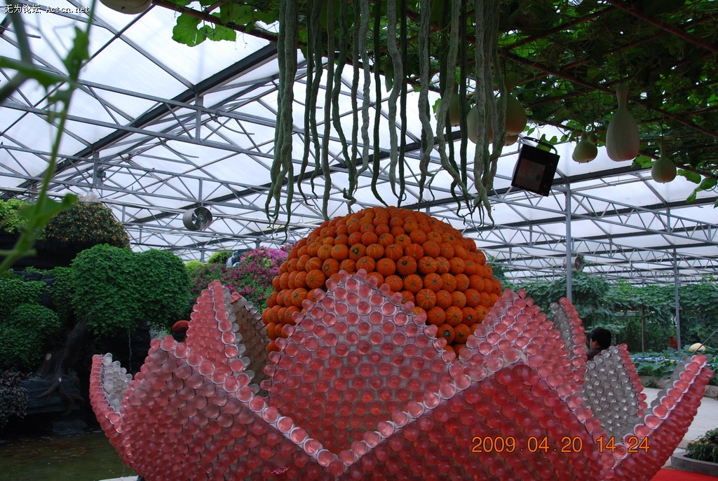 20090420 125.jpg