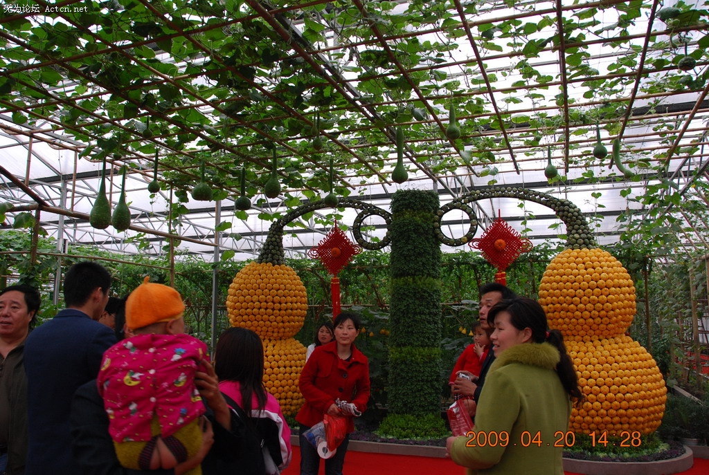 20090420 139.jpg