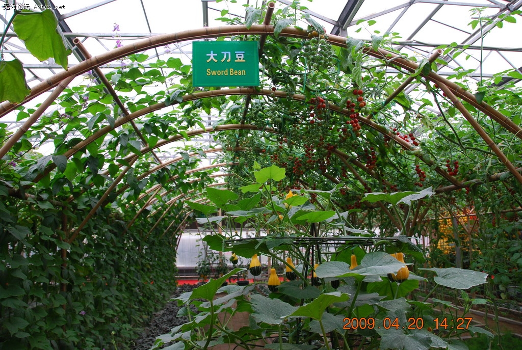 20090420 137.jpg