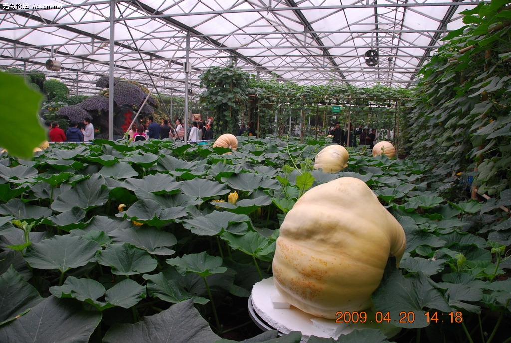 20090420 091.jpg