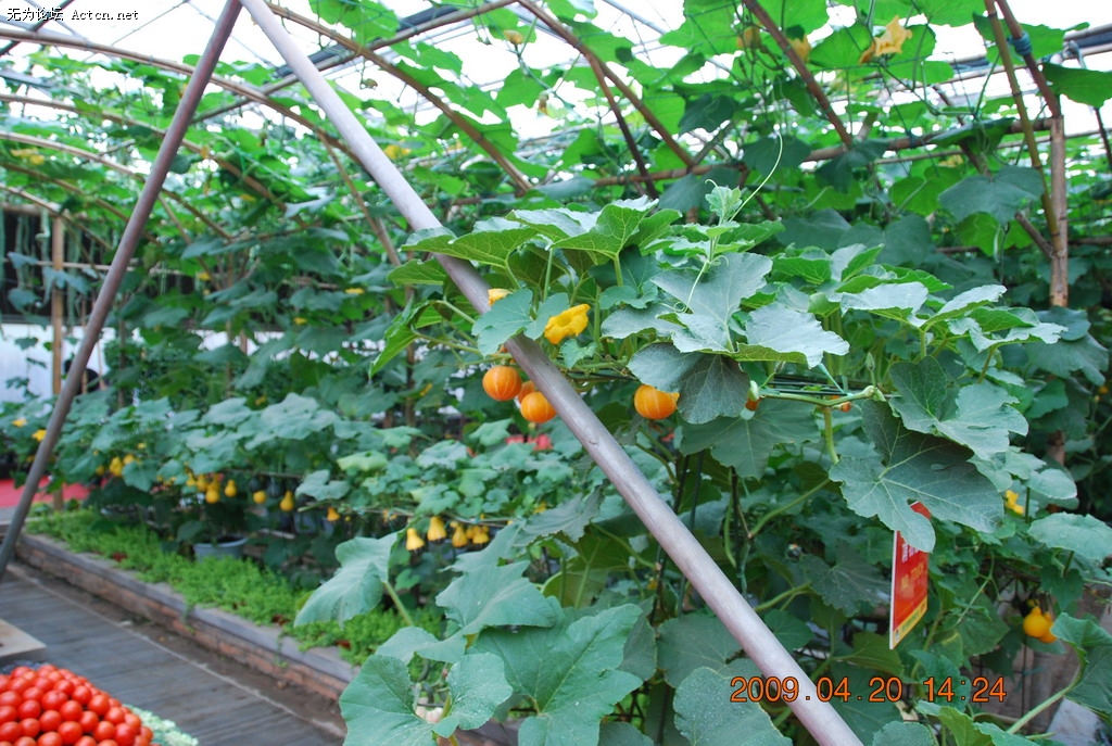 20090420 123.jpg