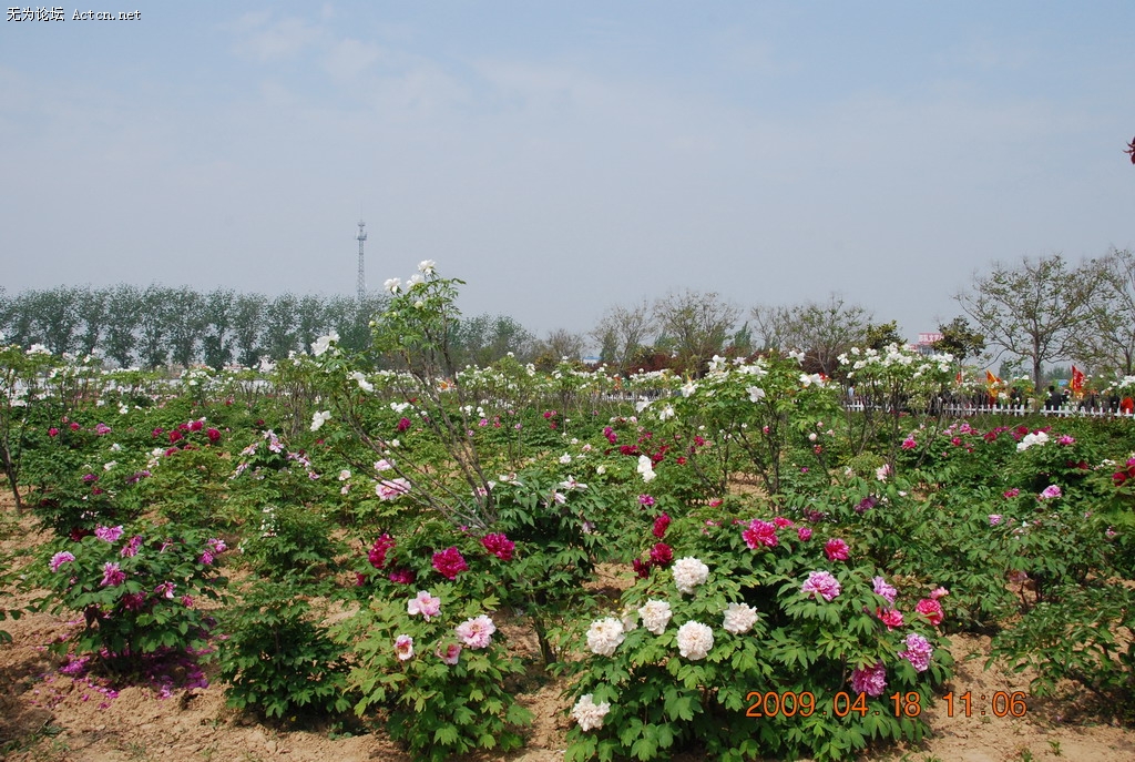 20090418 042.jpg