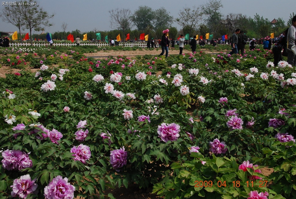 20090418 050.jpg