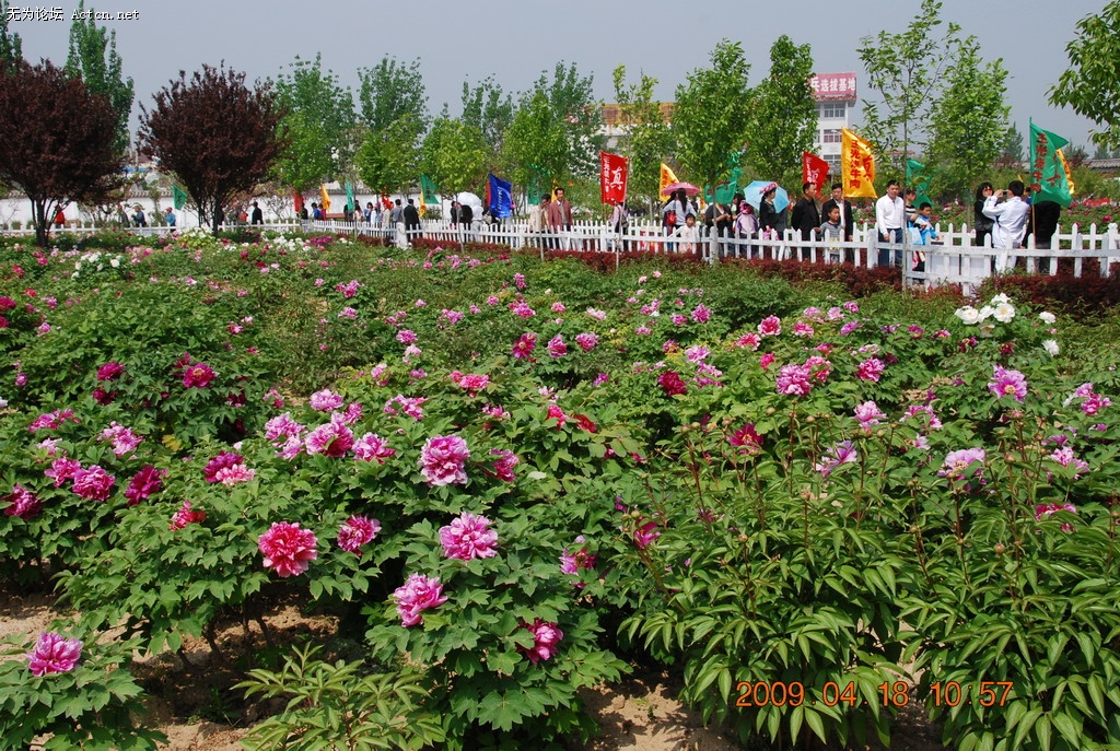 20090418 027.jpg