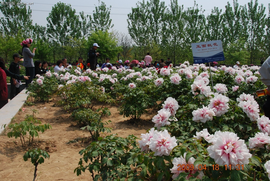 20090418 057.jpg