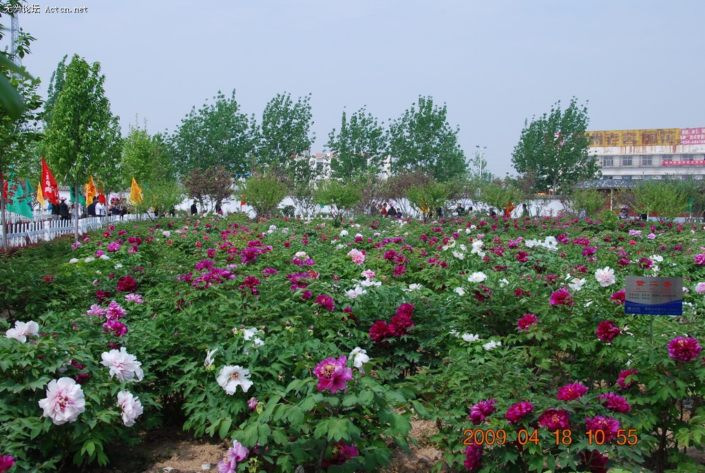 20090418 021.jpg