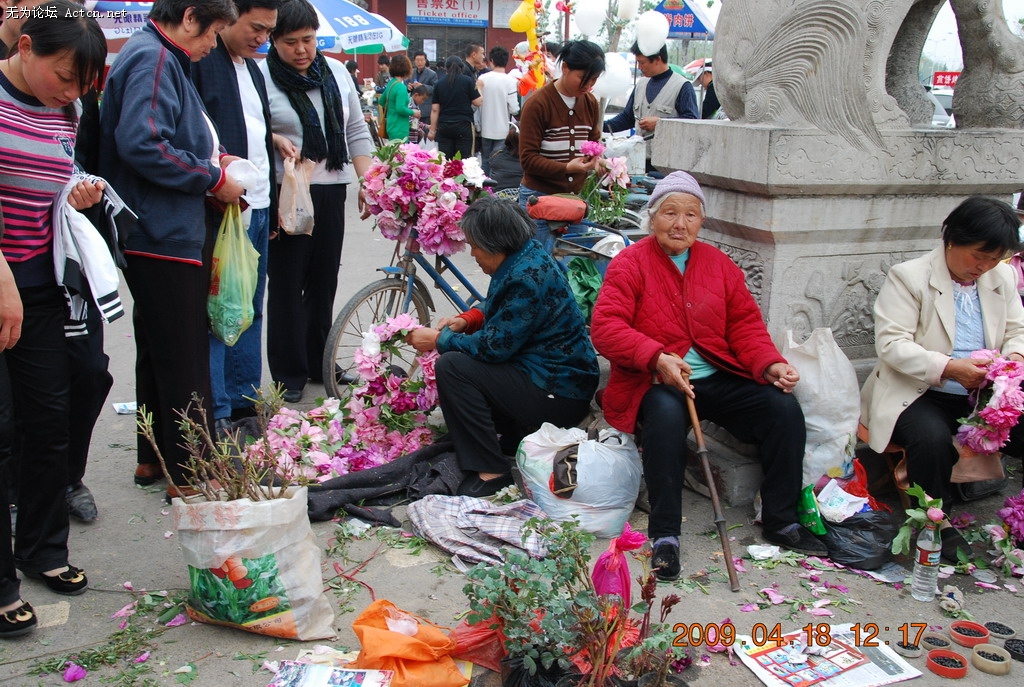 20090418 128.jpg