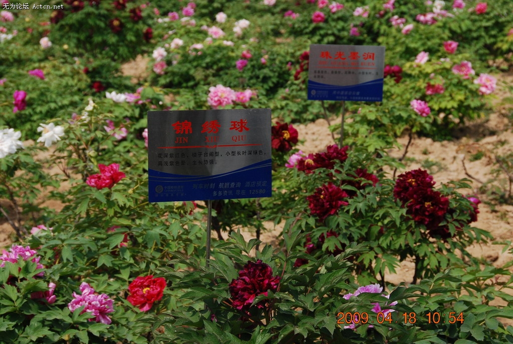 20090418 016.jpg