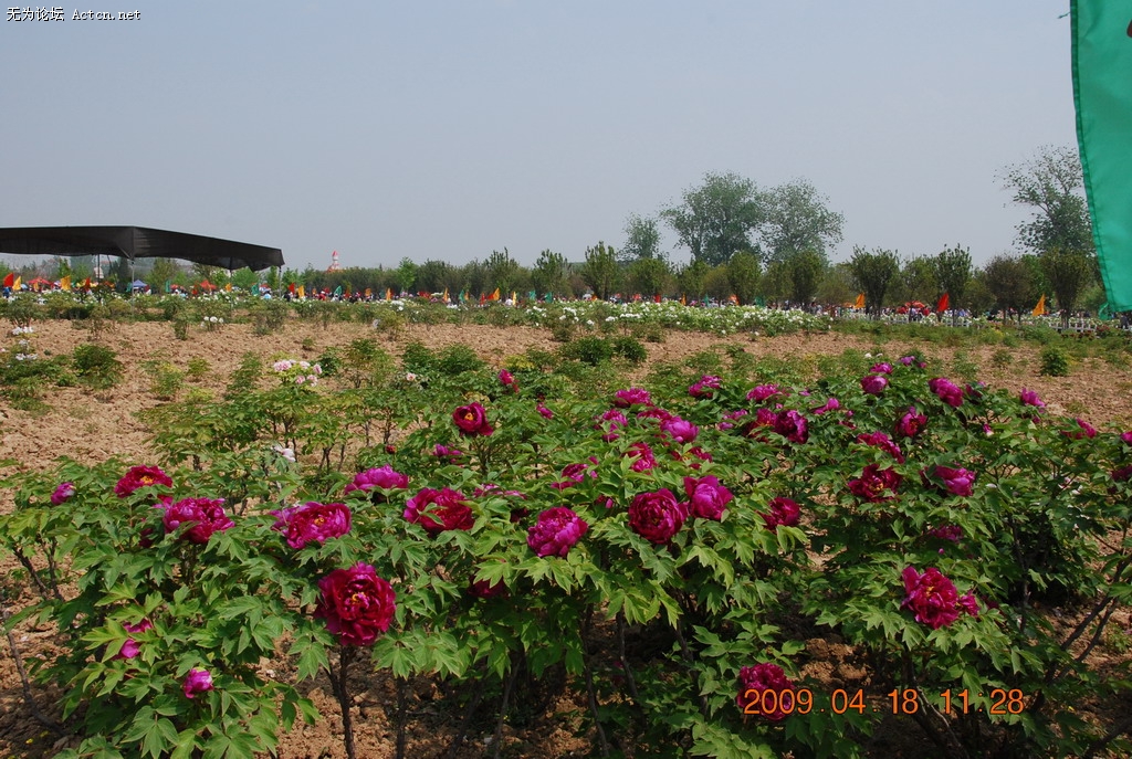 20090418 051.jpg