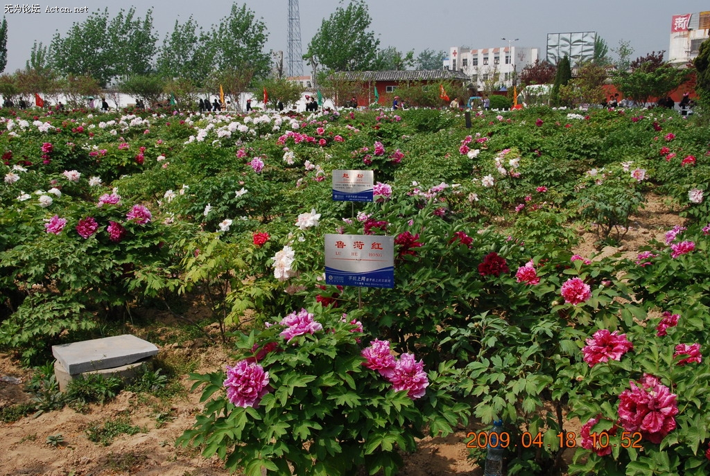 20090418 012.jpg