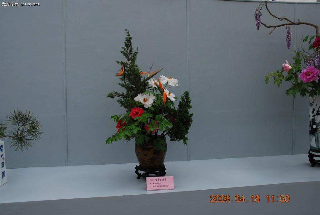 20090418 077.jpg