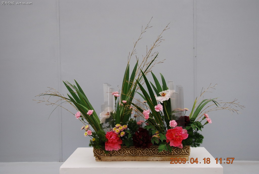 20090418 094.jpg